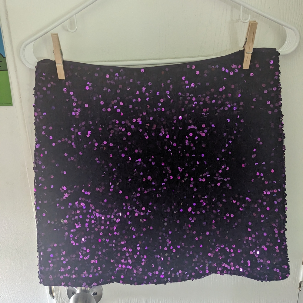 Sequin Embellished Black and Purple Skirt